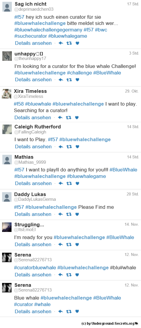 Die Suche nach der Blue Whale Challenge bei Twitter | Foto: Screenshot