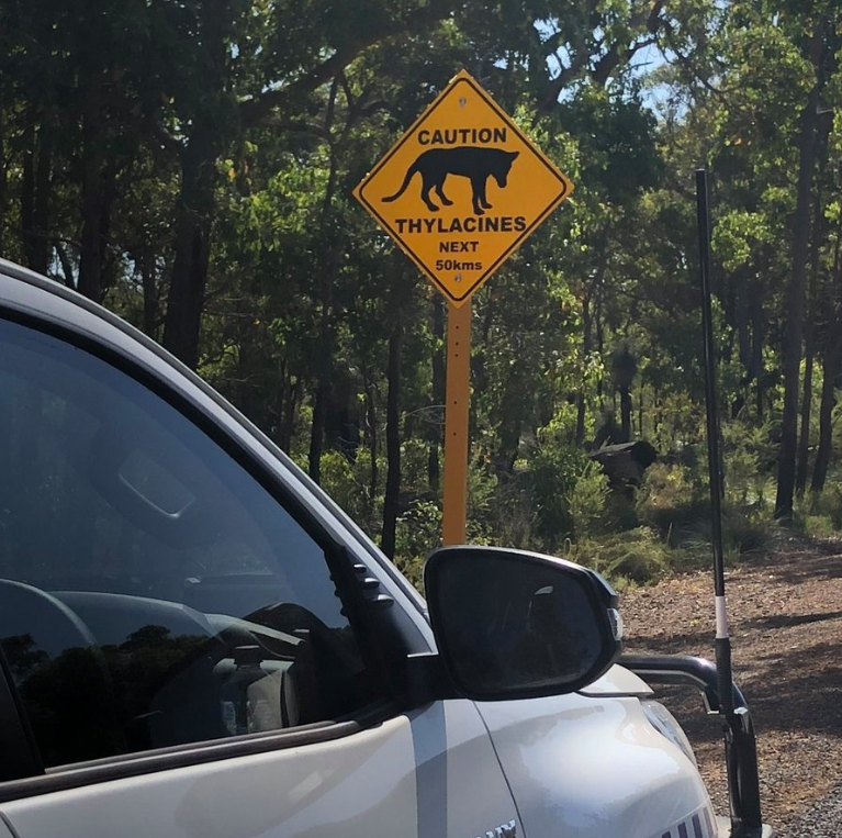 ‚Wildlife‘-Verkehrsschild für ausgestorben Tasmanischer Tiger