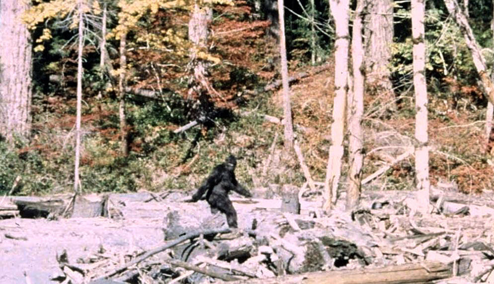 Der Film der einen Bigfoot zeigt: Der Patterson-Gimlin-Film