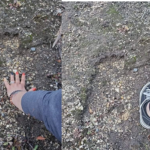 Mögliche Bigfoot-Fußspuren entdeckt